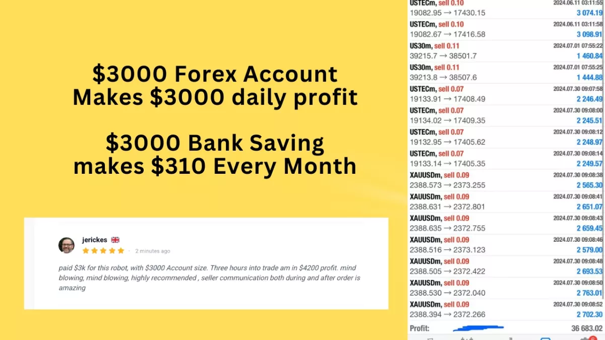 give you Bank standard MT4 Trading Robot for Maximum Profit $600