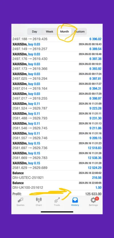 i will provide Trading Bot that makes $125k Monthly profit